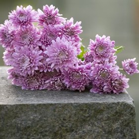 Ceremonies: Minister for Memorials/Funerals in USA